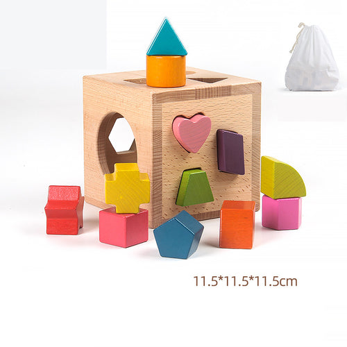 Beech Wood Geometric Blocks - Cognitive Development Toys